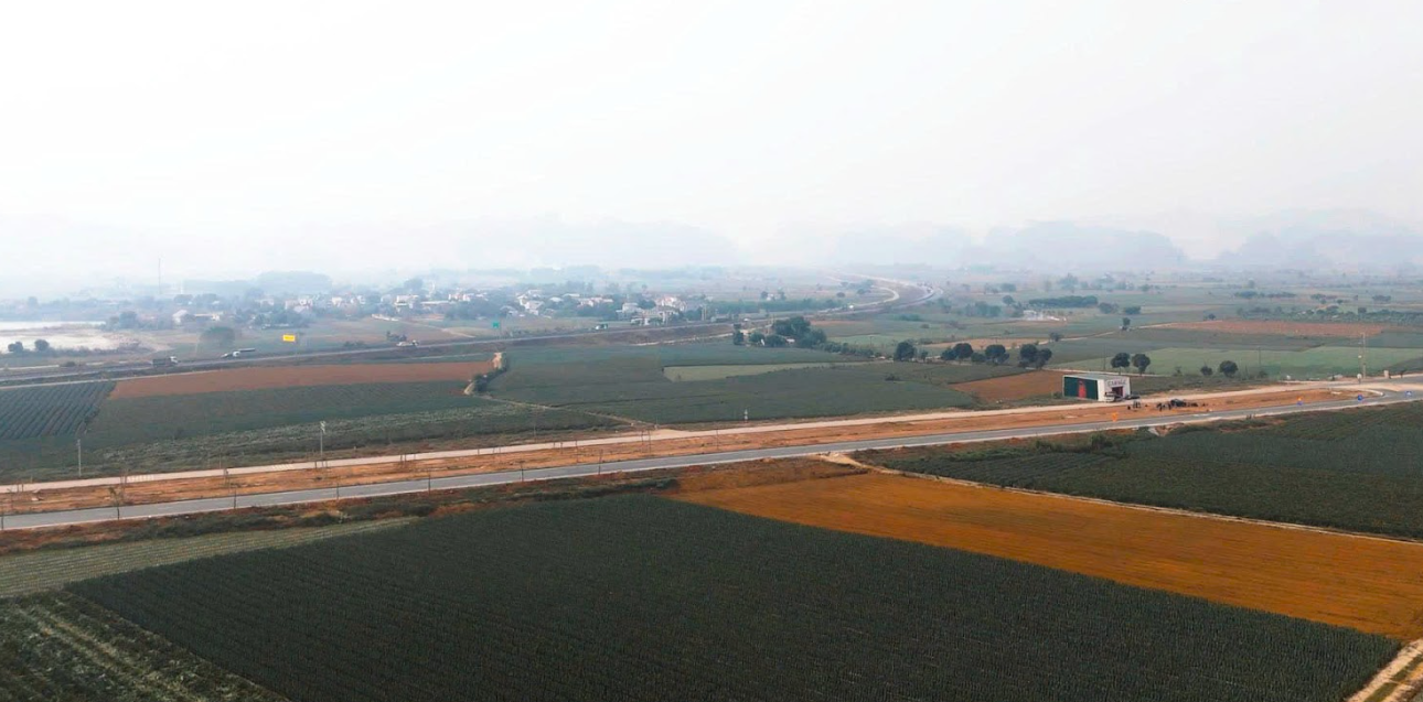 Lần đầu tiên thấy 1 phim Việt dùng 500 con cá trê làm đạo cụ: Xem đến đâu ớn tới đó, về nghỉ ăn cá cả năm- Ảnh 6.