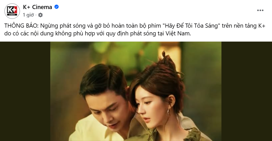 Phim của Triệu Lộ Tư bị xóa sổ hoàn toàn ở Việt Nam- Ảnh 4.