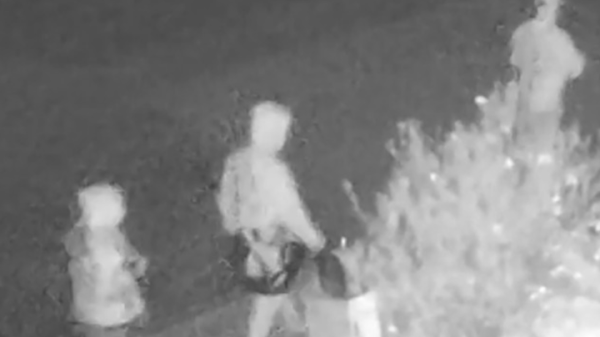 Bị ép hít đất 500 cái để nhận lương, nhân viên sát hại CEO screenshot 2025 11 14 111508 11225231 1763116738983 17631167391591968202289