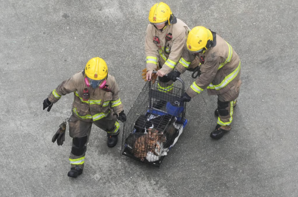 “Tôi không biết phải làm tang lễ cho mấy người”: Nỗi lòng nghẹn ngào của người thân đang hoảng loạn tìm kiếm nạn nhân vụ cháy chung cư Hong Kong (Trung Quốc)- Ảnh 2.