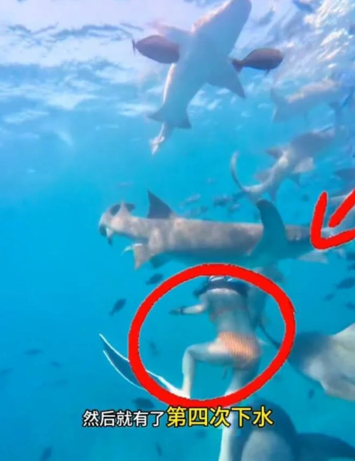 Kinh hoàng cảnh cô gái bị cá mập cắn nhưng vẫn từ chối lên bờ vì muốn chụp thêm ảnh- Ảnh 1.