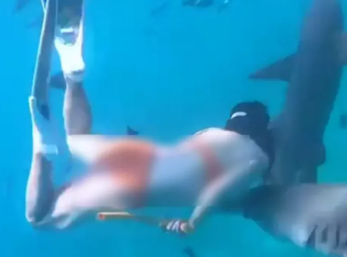 Kinh hoàng cảnh cô gái bị cá mập cắn nhưng vẫn từ chối lên bờ vì muốn chụp thêm ảnh- Ảnh 2.