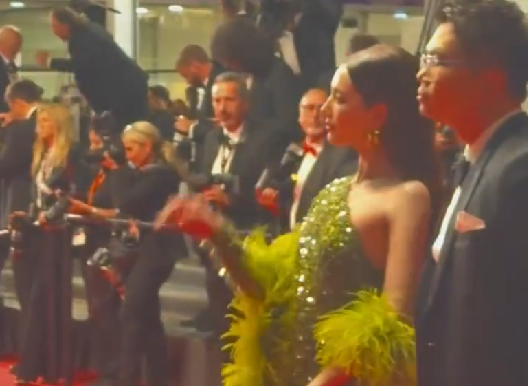 Clip viral: Quốc bảo nhan sắc bị ngó lơ ở thảm đỏ Cannes 2025, pose dáng với máy hút bụi trước hàng trăm người- Ảnh 1.