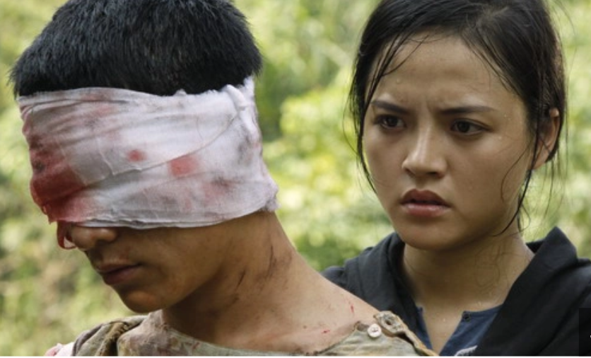 Từ Địa Đạo đến Mưa Đỏ: Khi điện ảnh Việt cũng trở thành fandom yêu nước- Ảnh 3.