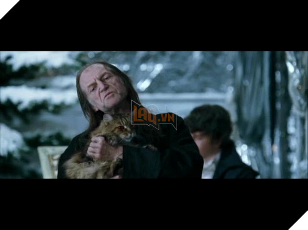 10 Gia Thuyet Noi Bat Cua Nguoi Ham Mo Trong Series Harry Potter Moi Cua HBO (Phan 1) Hình ảnh về phim