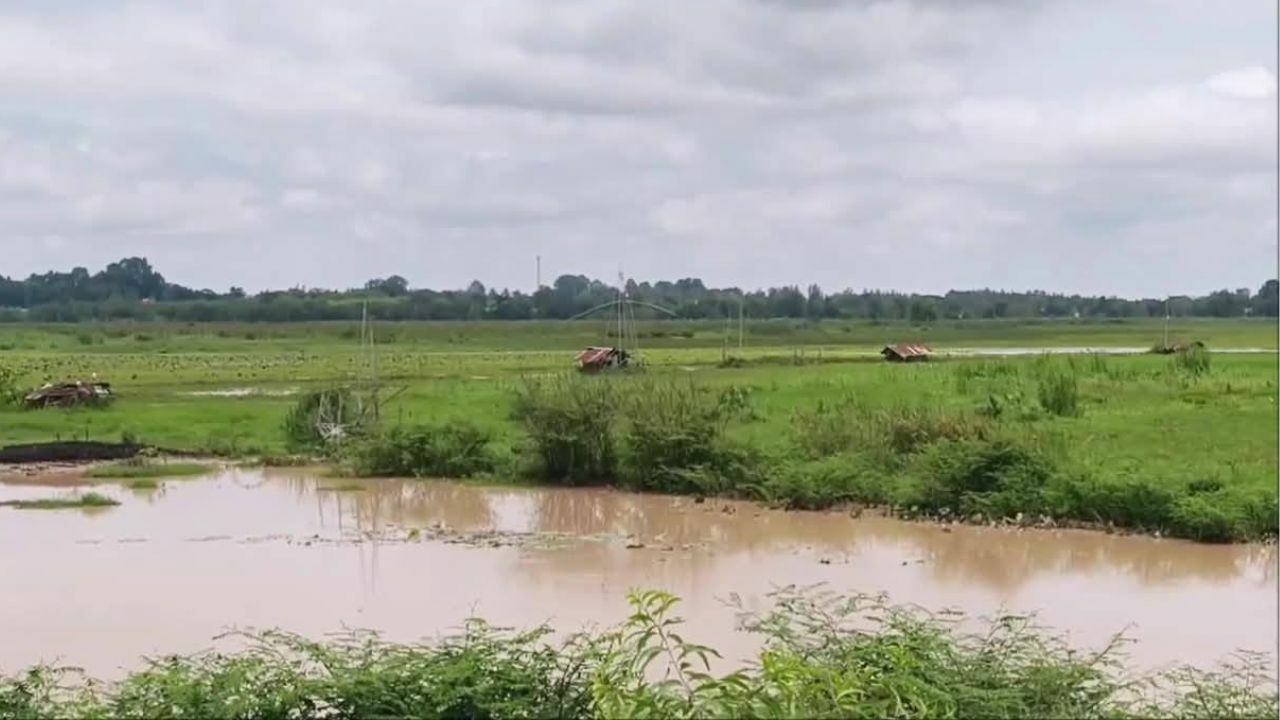 Đang đóng bè cá, 2 người đàn ông bị sét đánh tử vong- Ảnh 1.