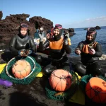 Phát hiện dấu hiệu 'tiến hóa' đặc biệt ở những nữ thợ lặn huyền thoại Hàn Quốc shutterstock editorial 14223158b 84104614299769083598637 1747277132373 17472771325031692163645