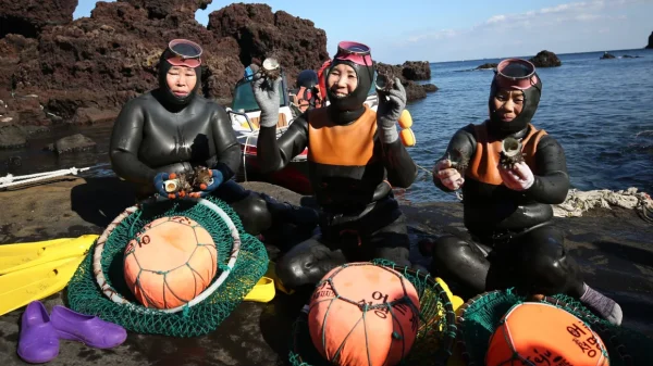 Phát hiện dấu hiệu 'tiến hóa' đặc biệt ở những nữ thợ lặn huyền thoại Hàn Quốc shutterstock editorial 14223158b 84104614299769083598637 1747277132373 17472771325031692163645