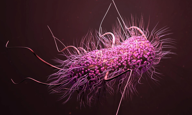 "Báu vật khác thường" tại mỏ đất hiếm lớn nhất thế giới: Có thể thay đổi tương lai nhân loại sieu vi khuan 17476271974671342529472 1747712999038 17477129991891912010188