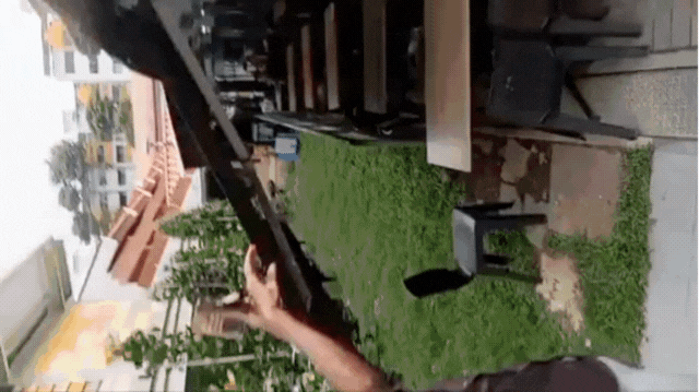 Đi uống cà phê bất ngờ gặp trăn khủng, cả quán đồng loạt hợp sức để vây bắt