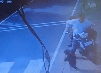 39 triệu người lặng người khi chứng kiến hình ảnh cậu bé lao ra đường khi xe tải đang lao tới, bố ôm đầu phản ứng đầy bất lực- Ảnh 1. 39 triệu người lặng người khi chứng kiến hình ảnh cậu bé lao ra đường khi xe tải đang lao tới, bố ôm đầu phản ứng đầy bất lực- Ảnh 1.