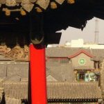 'Nhường' em út nuôi mẹ bị liệt, khi nhà giải tỏa lại kiện đòi chia tiền đền bù sohu 01415635 1753090243776 17530902439972067593964 0 29 379 635 crop 1753090365459896709951jpg