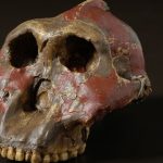 Thứ gây sốc ở 3 di chỉ cổ đại vừa làm thay đổi lịch sử loài người someimagewidth 1200ba2750c 1761281258378265646183 1761296567018 1761296567457669060364 29 0 779 1200 crop 17612965805121610477680jpg