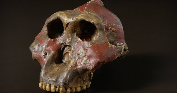 Thứ gây sốc ở 3 di chỉ cổ đại vừa làm thay đổi lịch sử loài người 30 Thứ gây sốc ở 3 di chỉ cổ đại vừa làm thay đổi lịch sử loài người someimagewidth 1200ba2750c 1761281258378265646183 1761296567018 1761296567457669060364 29 0 779 1200 crop 17612965805121610477680jpg