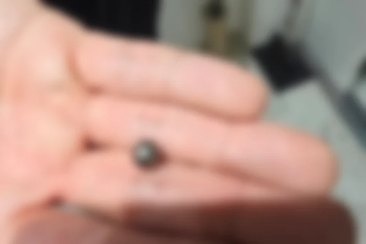 Rúng động Hàn Quốc: Cha bắn chết con trai giữa tiệc sinh nhật- Ảnh 2.