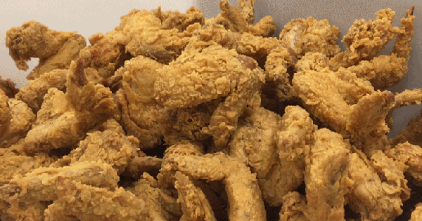 Tại sao những chiếc xương gà mà bạn vừa ăn xong có thể là di sản vĩ đại của nhân loại? source 1759396994784612786325 0 38 399 676 crop 17593970052431823042221 1759414146091 17594141463461421554057 0 0 477 764 crop 1759414172402957690865gifpng