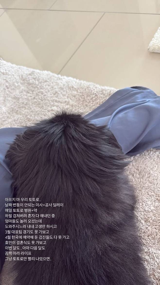 Căng: Thêm 1 thành viên T-ara nghi cạch mặt cả nhóm!- Ảnh 2.