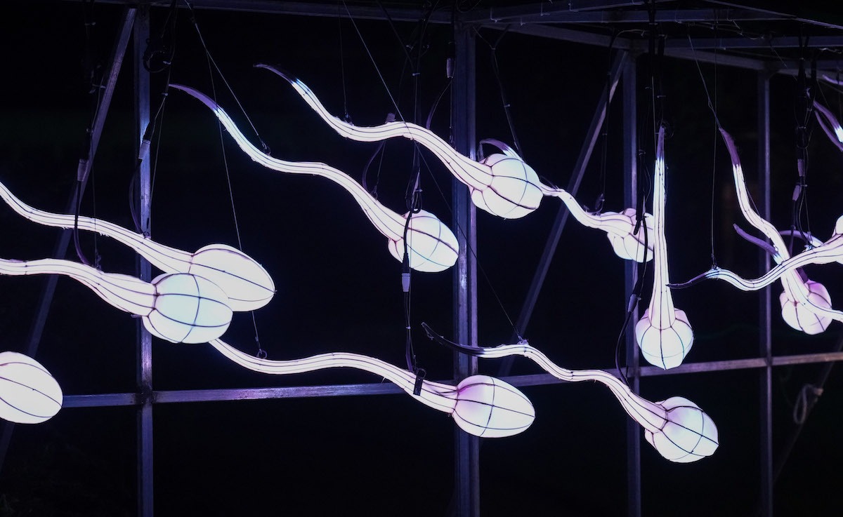 Tinh trùng biến hình thành robot: Chuyện khoa học viễn tưởng sắp thành hiện thực- Ảnh 3.