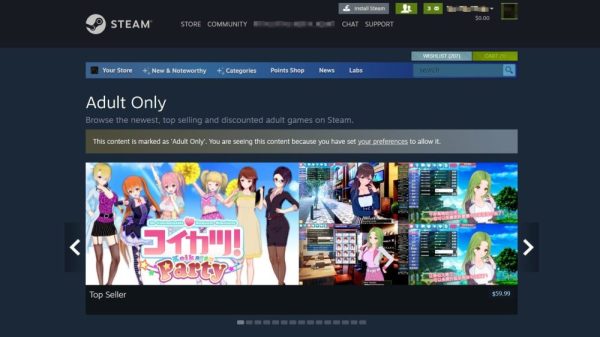 Steam Bất Ngờ Có Động Thái Gay Gắt Hơn Với Các Trò Chơi Dành Cho Người Lớn steam adult only games cover oqtljpg