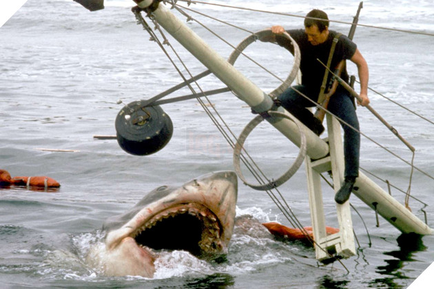 50 Nam Sau, Ky Luc Boi Loi Tai Dia Diem Quay “Jaws” Nang Tam Nhan Thuc Ve Ca Map 2 Hình ảnh chuẩn bị đạo cụ con cá mập trong phim Jaws
