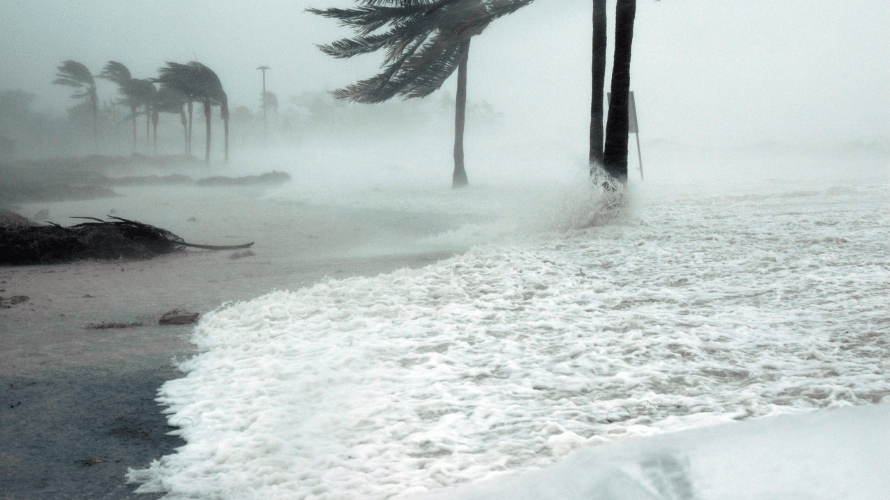 Bão số 4 Cỏ may tại Biển Đông đã tấn công đất liền, Philippines ra loạt cảnh báo- Ảnh 1.