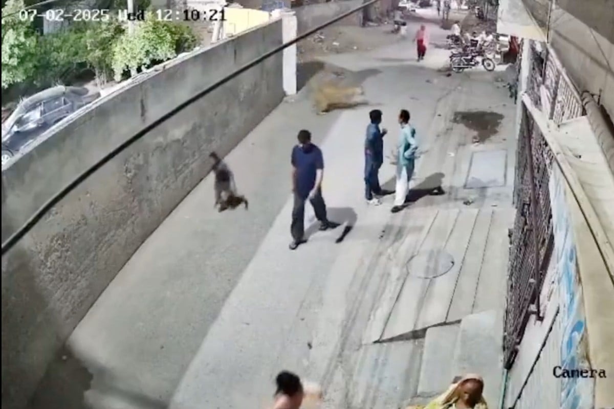 Kinh hoàng sư tử vượt tường tấn công phụ nữ, trẻ em giữa phố ở Pakistan- Ảnh 1.