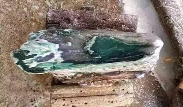 Công trường dừng thi công khẩn cấp vì phát hiện cây gỗ dài 30,5m, “cứng như đá”: Chuyên gia khẳng định