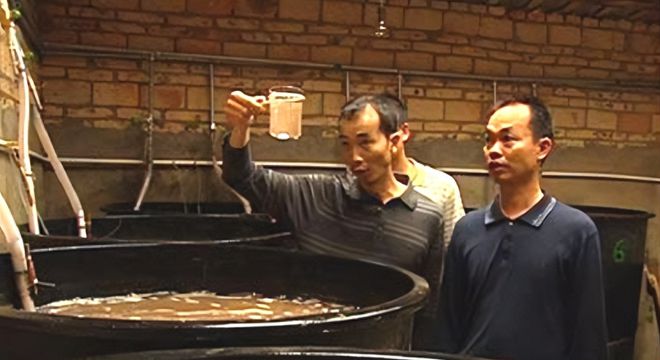 Người đàn ông chi hơn 472 triệu đồng nhập 81 tấn nước biển của Mỹ bị hải quan chặn lại: Tưởng trò đùa nhưng là “vũ khí bí mật” giúp đổi đời- Ảnh 3.