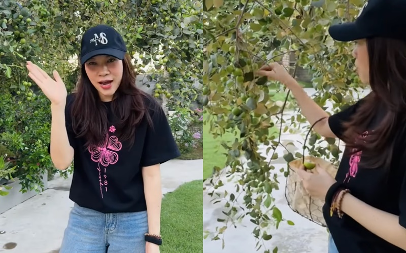 Thú vui đặc biệt của Mỹ Tâm: Trong nhà nữ ca sĩ có gì mà mới Thú vui đặc biệt của Mỹ Tâm: Trong nhà nữ ca sĩ có gì mà mới