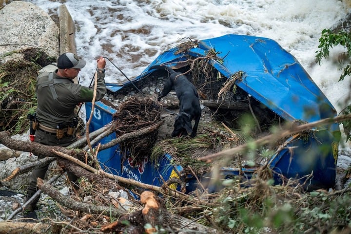 Texas hoang tàn sau trận lũ lịch sử- Ảnh 10.