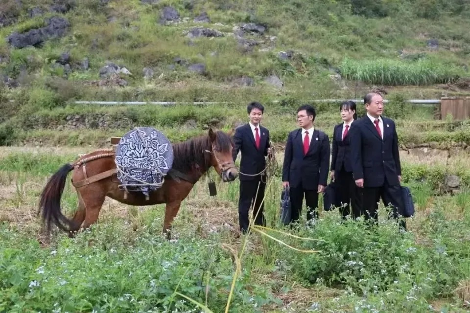 Phim thất bại ê chề vì chỉ bán được 1 vé, netizen mỉa mai