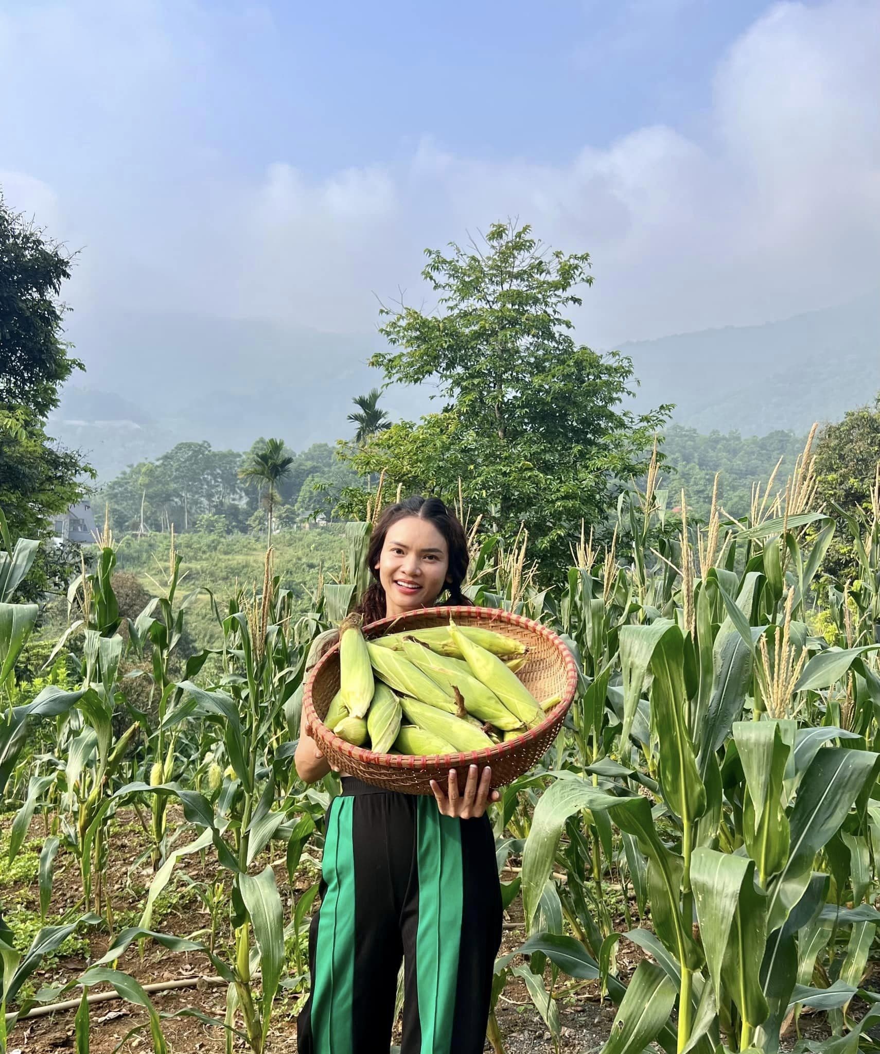 3 nghệ sĩ rời phố thị về Thạch Thất sống an yên tại nhà vườn rộng lớn, có nữ NSND mới 43 tuổi- Ảnh 2.