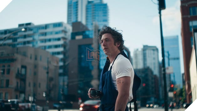 Series Phim The Bear Duoc Gia Han Them Mua 5 2 Hình ảnh về phim The Bear