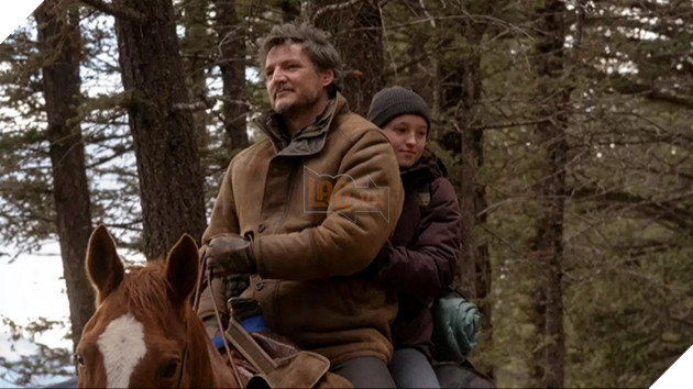 The Last of Us Chính Thức Được Gia Hạn Mùa 3 Và Liệu Đây Có Phải Là Kết Thúc Của Series?