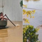 Thái Nguyên tìm kiếm 3 tách trà "lạc trôi" trong đợt mưa lũ thi t k ch a c t n 2 1760176525 668 width740height495 auto cropjpg