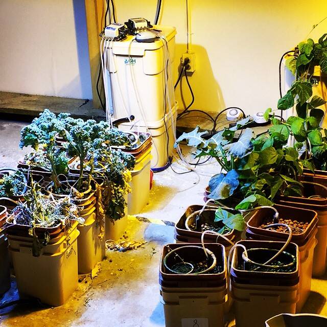 Bên trong tòa nhà chung cư