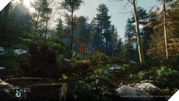 Khung cảnh thiên nhiên nhiều sắc màu nhờ vào Unreal Engine 5