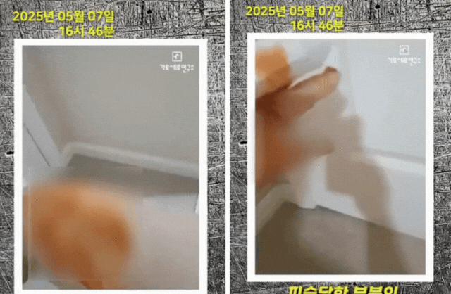 Thêm biến căng: Người tố cáo Kim Soo Hyun công khai hình ảnh gây sốc sau vụ bị đâm trọng thương đầy tàn bạo- Ảnh 1. Thêm biến căng: Người tố cáo Kim Soo Hyun công khai hình ảnh gây sốc sau vụ bị đâm trọng thương đầy tàn bạo- Ảnh 1.