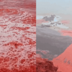 Video ghi lại cảnh tượng bãi biển bỗng chuyển màu "đỏ máu" gây sốc, bí ẩn phía sau rất bất ngờ thiet ke chua co ten 4 1741941196107961984972gifpng