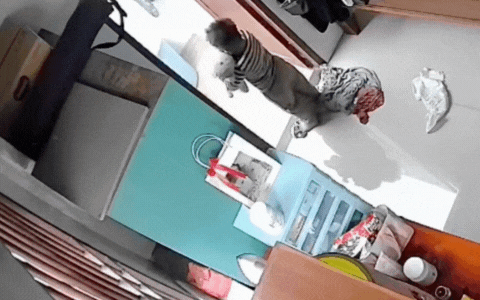 Mẹ Lê Dương Bảo Lâm bị ngã nghiêm trọng, nhóc tỳ 3 tuổi vừa phát hiện liền có hành động gây kinh ngạc- Ảnh 1.