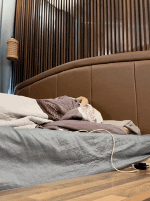 Hé lộ cơ ngơi của Tân Hoa hậu Hoàn vũ Việt Nam Phương Linh- Ảnh 1.