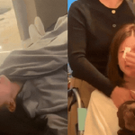 Sốc nặng clip hồi phục của Triệu Lộ Tư: Co giật toàn thân, khóc nghẹn bất lực sau cơn thập tử nhất sinh thiet ke chua co ten 61 1737887144060439328720 0 0 335 640 crop 17378872031222120606200gifpng