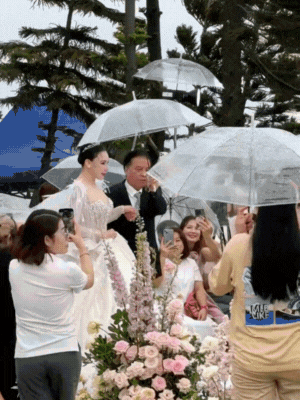 Dàn sao dự đám cưới Hồ Quỳnh Hương: Thiều Bảo Trâm khoe dáng gợi cảm, Dàn sao dự đám cưới Hồ Quỳnh Hương: Thiều Bảo Trâm khoe dáng gợi cảm,