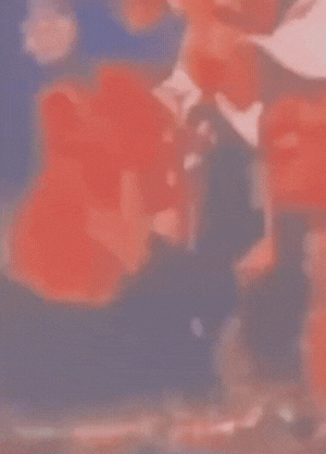 Gần 100 triệu người ùa vào xem Hoắc Kiến Hoa ôm hôn Lâm Tâm Như- Ảnh 2.