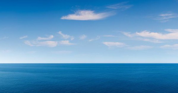 Con cá cô đơn nhất thế giới thumb 960x0 1757652383677956658390 1757659794436 1757659794652153821353 17576598114771587987832 77 170 518 876 crop 17576598223171703299623jpg