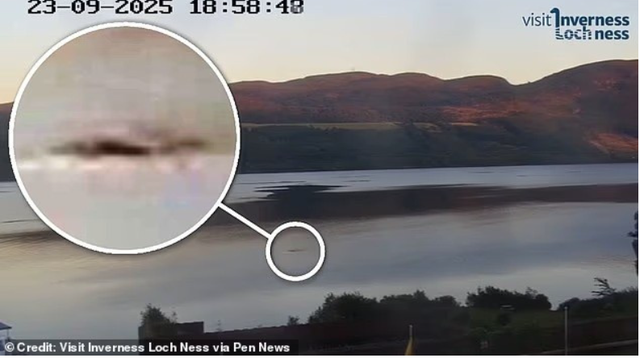 Gặp 'thủy quái' to như xe buýt bơi trên mặt hồ, thợ săn nói: Những gì tôi thấy là độc nhất vô nhị- Ảnh 1. Gặp 'thủy quái' to như xe buýt bơi trên mặt hồ, thợ săn nói: Những gì tôi thấy là độc nhất vô nhị- Ảnh 1.