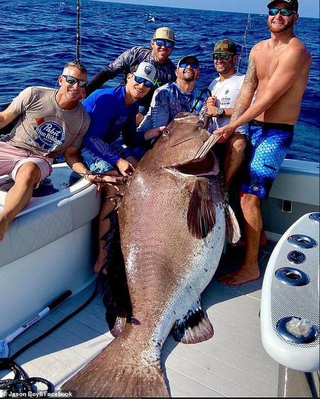 Ngư dân tình cờ bắt được Ngư dân tình cờ bắt được