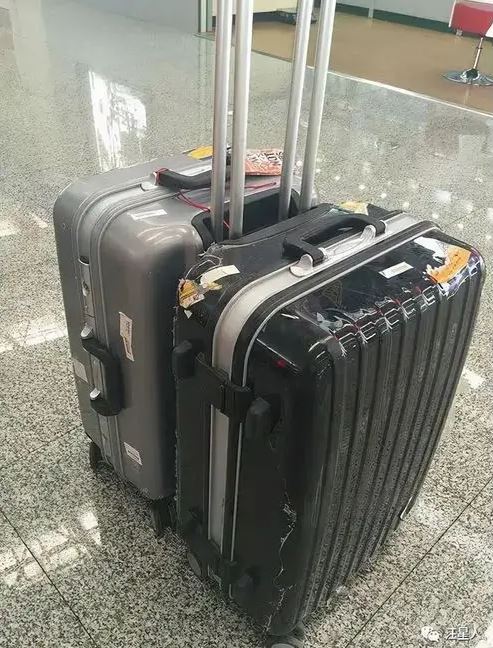 Tịch thu hơn 14,5 tỷ tiền mặt trong vali của 2 nhân viên công ty logistics- Ảnh 1.