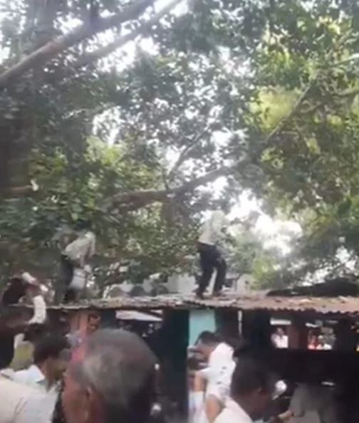 Tiền mặt rơi lả tả từ trên cây xuống và sự thật bất ngờ- Ảnh 1.