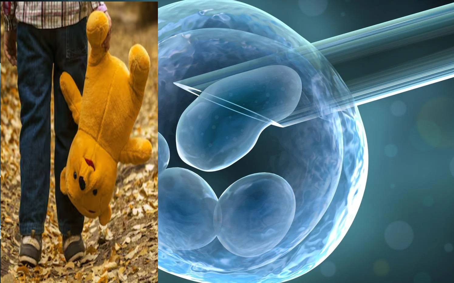 Công bố rúng động Hà Lan: Mỗi người hiến tinh trùng có thể làm cha hơn 25 đứa trẻ- Ảnh 2.